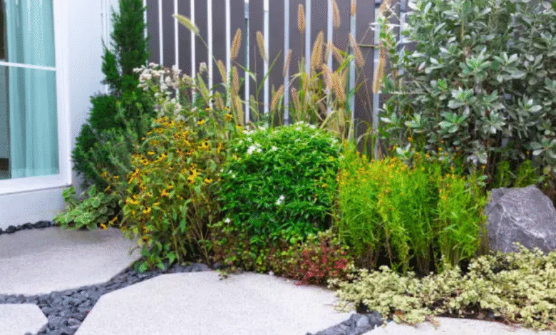 How to Create Low-Maintenance Landscaping That Still Looks Stunning