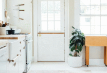 Protect Your Property with a Thorough Termite Inspection