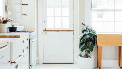 Protect Your Property with a Thorough Termite Inspection