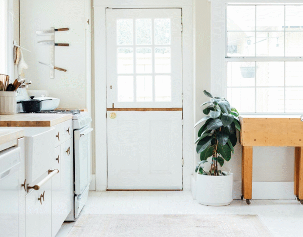 Protect Your Property with a Thorough Termite Inspection