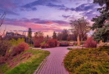 How To Design A Calgary Yard That Thrives In All Four Seasons