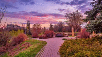 How To Design A Calgary Yard That Thrives In All Four Seasons
