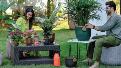 Innovating Garden Spaces with Lightweight Fibreglass Pots
