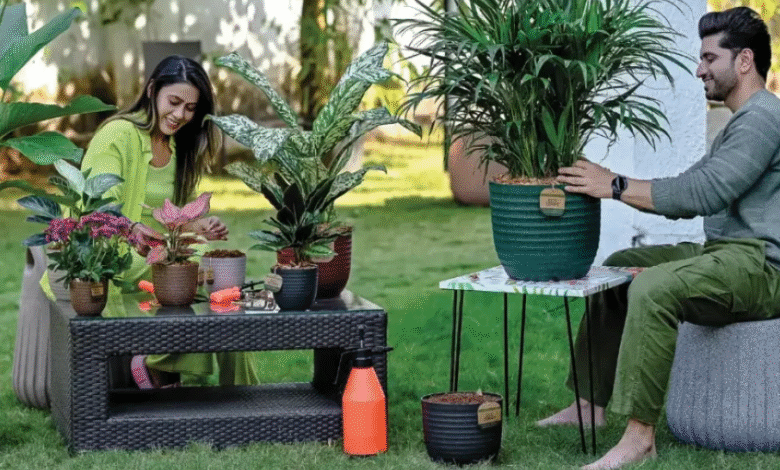 Innovating Garden Spaces with Lightweight Fibreglass Pots