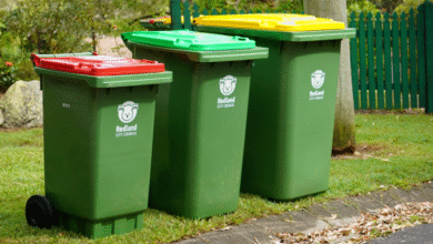 What You Can and Can’t Throw Out: Household Waste Rules in Sydney’s Eastern Suburbs