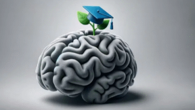 Educated Investors: The Key to Smarter Financial Decisions