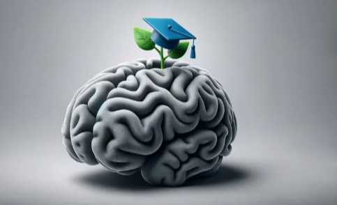 Educated Investors: The Key to Smarter Financial Decisions