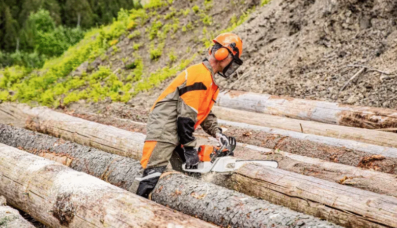 Title: How Expert Tree Removal Supports Better Landscape Design in Ottawa Homes