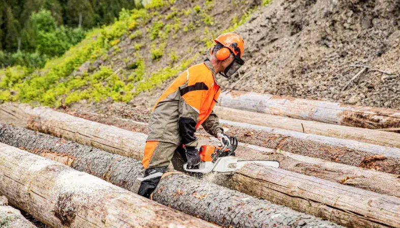 Title: How Expert Tree Removal Supports Better Landscape Design in Ottawa Homes - Honestdoor