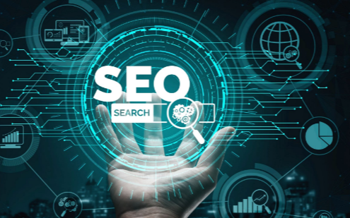 How an SEO Expert in India Can Transform Your Digital Marketing