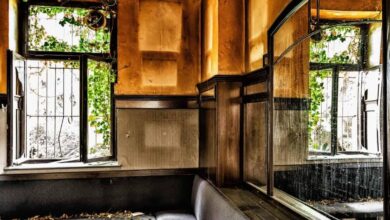 Precision in Practice: How Skilled Timber Teams Shape Reliable and Modern Homes