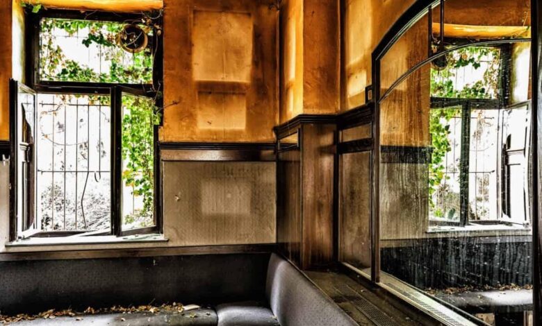 Precision in Practice: How Skilled Timber Teams Shape Reliable and Modern Homes