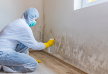 Spotting and Preventing Hidden Mold: A Guide for Charlotte, NC Homeowners