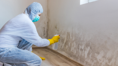 Spotting and Preventing Hidden Mold: A Guide for Charlotte, NC Homeowners