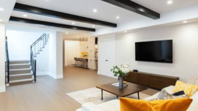 Modern Tips for Transforming Your Basement into a Livable Space