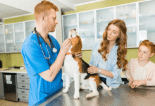 The Role Of Veterinary Hospitals In Preventing Zoonotic Diseases