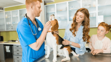 The Role Of Veterinary Hospitals In Preventing Zoonotic Diseases
