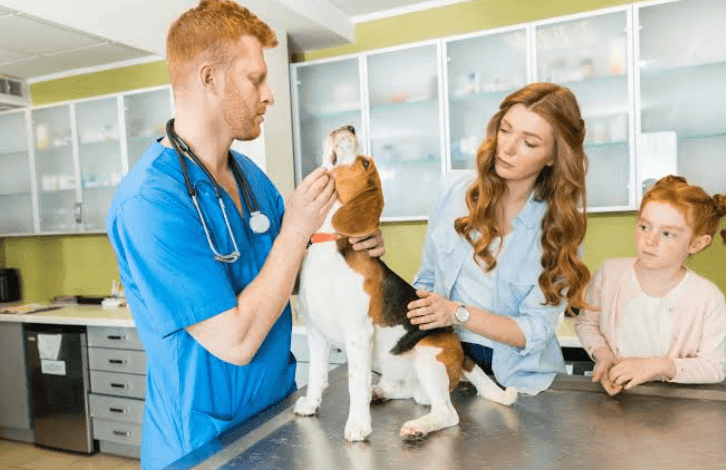 The Role Of Veterinary Hospitals In Preventing Zoonotic Diseases