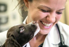 How General Vets Coordinate Referrals To Specialists