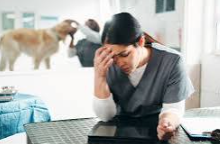 6 Ways Veterinary Hospital Teams Protect Mobility During Recovery