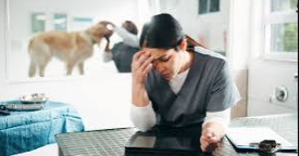 6 Ways Veterinary Hospital Teams Protect Mobility During Recovery